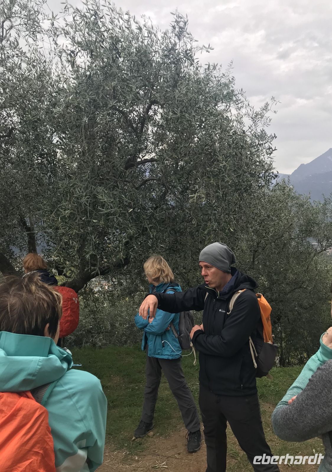 Wanderreise am Gardasee 16.10.2024  - Wanderung auf dem Monte Brione- Infos zur Öl- Herstellung &ndash; &copy; Renate Schuster (Eberhardt TRAVEL)
