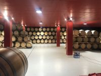 Wanderreise am Gardasee 14.10.2024  - Weingut PISONI &ndash; &copy; Renate Schuster (Eberhardt TRAVEL)