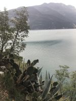 Wanderreise am Gardasee 16.10.2024  - Wanderung auf dem Monte Brione &ndash; &copy; Renate Schuster (Eberhardt TRAVEL)