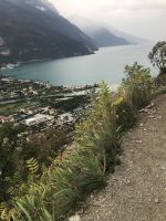 Wanderreise am Gardasee 16.10.2024  - Wanderung auf dem Monte Brione &ndash; &copy; Renate Schuster (Eberhardt TRAVEL)