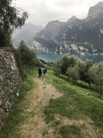 Wanderreise am Gardasee 16.10.2024  - Wanderung auf dem Monte Brione - Rückweg &ndash; &copy; Renate Schuster (Eberhardt TRAVEL)
