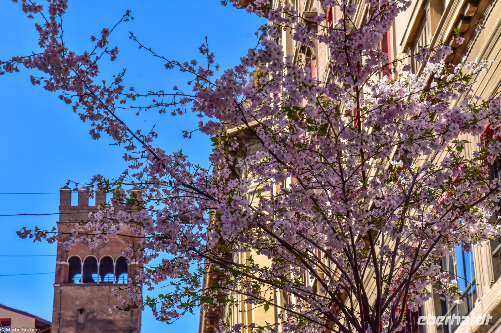 Bologna &ndash; &copy; Martin Büchner (Eberhardt TRAVEL)