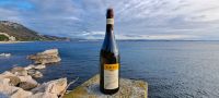 Golf von Triest - Schloss Miramare - Benvenuti di Italia - Benvenuti di Prosecco - Willkommen in Prosecco (Ort) &ndash; &copy; Martin Büchner (Eberhardt TRAVEL)