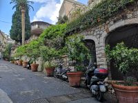 Eine Simbiose von Pflanzen und Mofas &ndash; &copy; Marta Rass (Eberhardt TRAVEL)