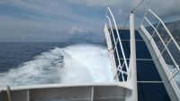 mit Volldampf zunächst nach Salerno