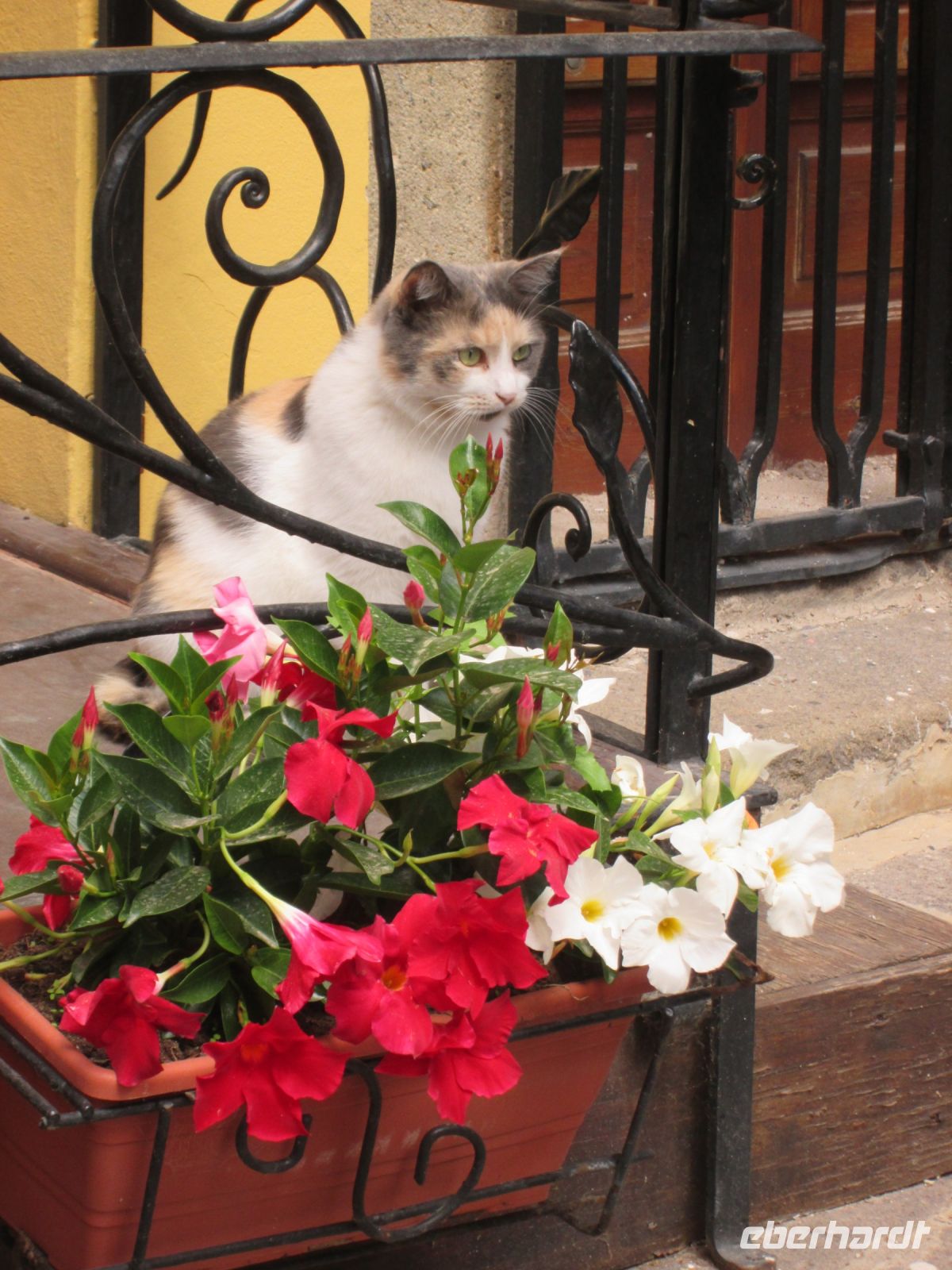 in Lipari &ndash; &copy; Heike Heinen (Eberhardt TRAVEL)