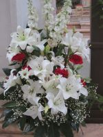 Blumenschmuck in San Vincenzo &ndash; &copy; Heike Heinen (Eberhardt TRAVEL)