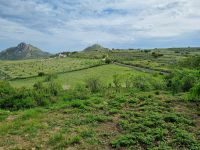 Balagne &ndash; &copy; Katrin Deutschbein (Eberhardt TRAVEL)
