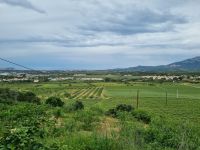 Balagne - Weingut Orsini &ndash; &copy; Katrin Deutschbein (Eberhardt TRAVEL)
