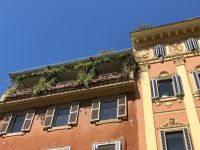 Innenstadt &ndash; &copy; Mathias Schirmer (Eberhardt TRAVEL)