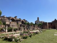 im Forum Romanum &ndash; &copy; Mathias Schirmer (Eberhardt TRAVEL)
