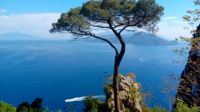 Blick von Villa Lysis auf den Vesuv und Halbinsel Sorrent &ndash; &copy; Allina Anderer (Eberhardt TRAVEL)