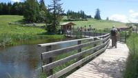 Auf dem Weg zur Leadneralm &ndash; &copy; Doreen Päßler (Eberhardt TRAVEL)