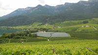 Wanderung zum Montiggler See &ndash; &copy; Doreen Päßler (Eberhardt TRAVEL)