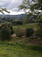 Bauernhof Il Vecchio Maneggio &ndash; &copy; Alicia Eckert (Eberhardt TRAVEL)