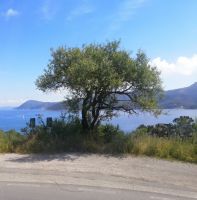 Auf Elba &ndash; &copy; Alicia Eckert (Eberhardt TRAVEL)