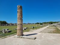 Paestum - Forum &ndash; &copy; Katrin Deutschbein (Eberhardt TRAVEL)