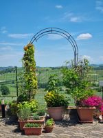 Piemont - Weingut 