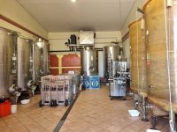 Piemont - Weingut 