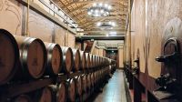 Besichtigung Weinkellerei Sella & Mosca &ndash; &copy; Monika Cortese (Eberhardt TRAVEL)