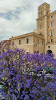 Stadtrundgang in Cagliari  &ndash; &copy; Monika Cortese (Eberhardt TRAVEL)