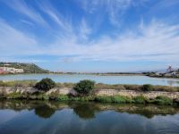 0503 Molentargius  Regionalpark &ndash; &copy; Jörg Nesse (Eberhardt TRAVEL)