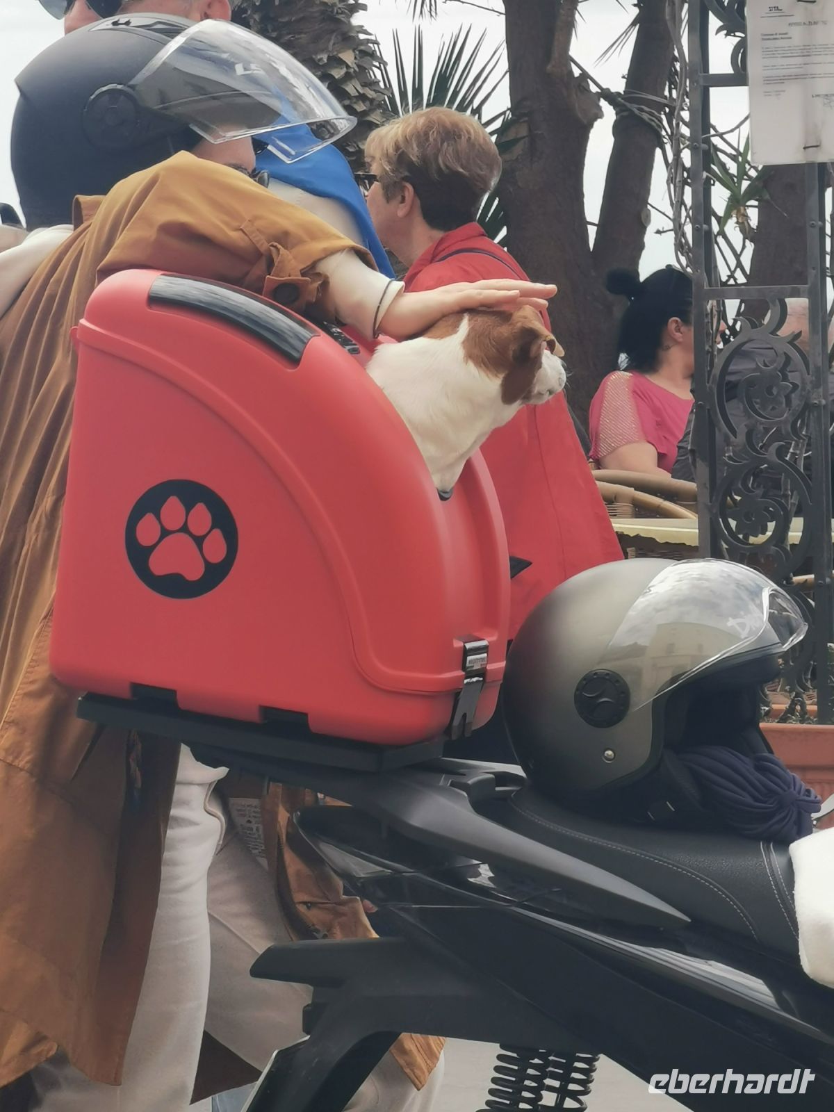Amalfi, Hundebeifahrer &ndash; &copy; Vivian Kreft (Eberhardt TRAVEL)
