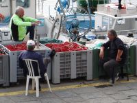 Massa Lubrense, Fischer unter sich &ndash; &copy; Vivian Kreft (Eberhardt TRAVEL)