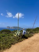 Überragende Agaven &ndash; &copy; Anne Schröder (Eberhardt TRAVEL)