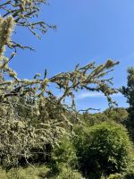 Im Zauberwald  &ndash; &copy; Anne Schröder (Eberhardt TRAVEL)