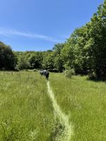 Unberührte Wege  &ndash; &copy; Anne Schröder (Eberhardt TRAVEL)