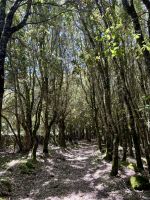 Herrlich  &ndash; &copy; Anne Schröder (Eberhardt TRAVEL)