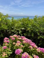 Wandelröschenliebe &ndash; &copy; Anne Schröder (Eberhardt TRAVEL)