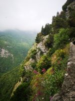 Nebel=selten &ndash; &copy; Mathias Schirmer (Eberhardt TRAVEL)