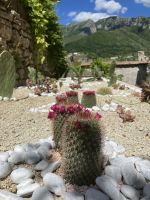Detail &ndash; &copy; Mathias Schirmer (Eberhardt TRAVEL)