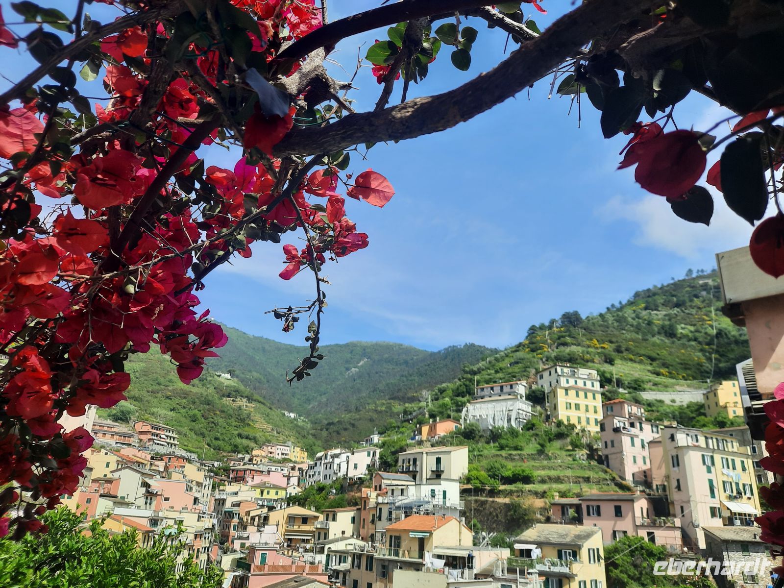 Riomaggiore &ndash; &copy; Betina Marinov (Eberhardt TRAVEL)