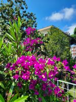 Impressionen &ndash; &copy; Betina Marinov (Eberhardt TRAVEL)