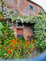 Impressionen