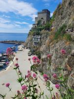 Monterosso &ndash; &copy; Betina Marinov (Eberhardt TRAVEL)