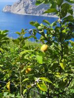 Impressionen &ndash; &copy; Betina Marinov (Eberhardt TRAVEL)