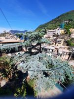 Vernazza &ndash; &copy; Betina Marinov (Eberhardt TRAVEL)