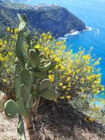 Gingster &ndash; &copy; Betina Marinov (Eberhardt TRAVEL)