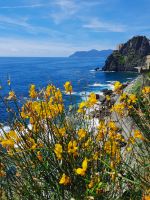 Via dell Amore &ndash; &copy; Betina Marinov (Eberhardt TRAVEL)