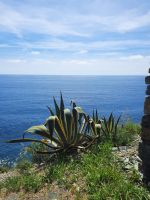 Via dell Amore &ndash; &copy; Betina Marinov (Eberhardt TRAVEL)