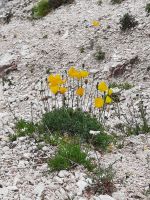 Impressionen &ndash; &copy; Betina Marinov (Eberhardt TRAVEL)
