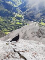 Gipfel  Piz Boé &ndash; &copy; Betina Marinov (Eberhardt TRAVEL)