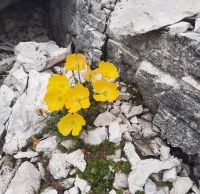Impressionen &ndash; &copy; Betina Marinov (Eberhardt TRAVEL)