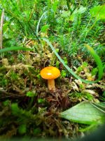 Impressionen &ndash; &copy; Betina Marinov (Eberhardt TRAVEL)
