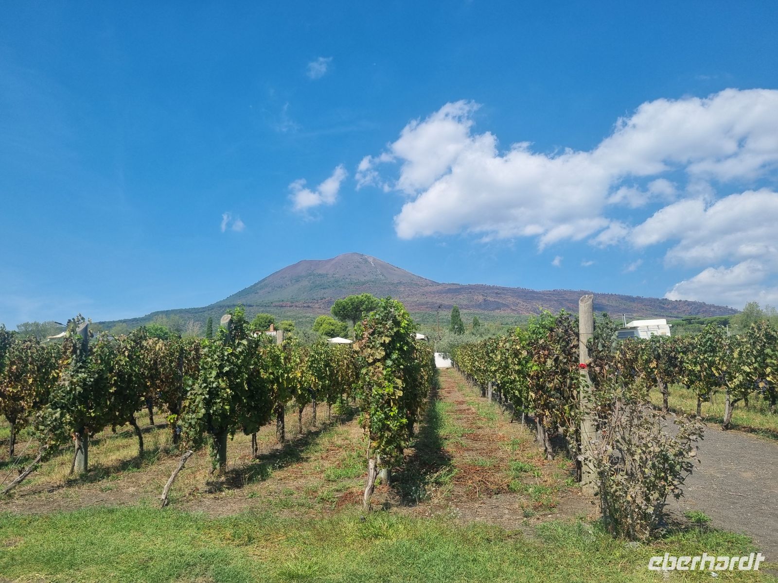 Weingut 