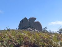 Adler - Meghaliten von Agrimusco - Sizilien &ndash; &copy; Marieta Beck (Eberhardt TRAVEL)